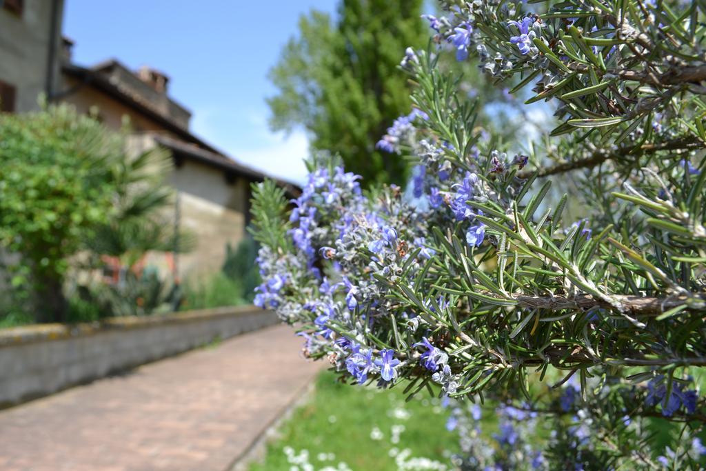Agriturismo Nestore Exterior foto