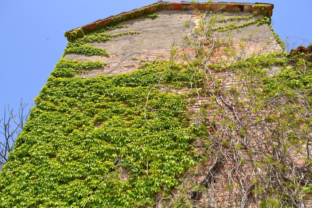 Agriturismo Nestore Exterior foto